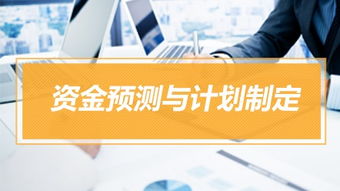 資金管理實操特訓(xùn)營 實務(wù)課程